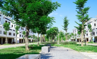 Khuôn viên cảnh quan Cây xanh Khu đô thị mới Phú Mỹ