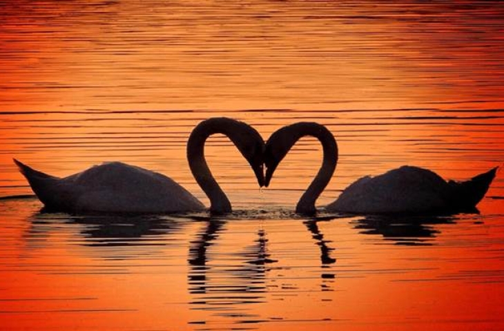 Bài dự thi "BA MƯƠI NĂM, MỘT DẤU ẤN TỰ HÀO"